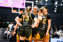 Vaitekūnaitės sezono mačas pažymėtas triuškinamu „Šiaulių-Vilmers“ triumfu